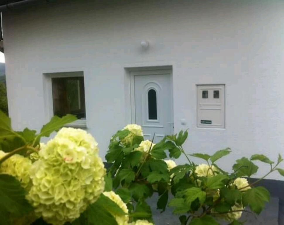 Guest House First Stop Rakovica Εξωτερικό φωτογραφία